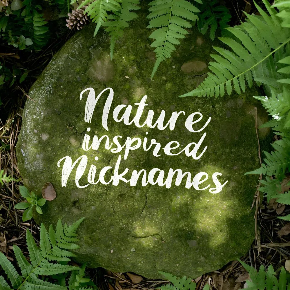 Nature-Inspired Nicknames