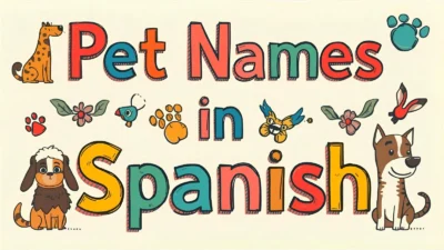 Pet Names in Spanish
