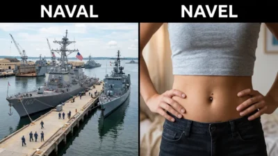 Naval vs Navel