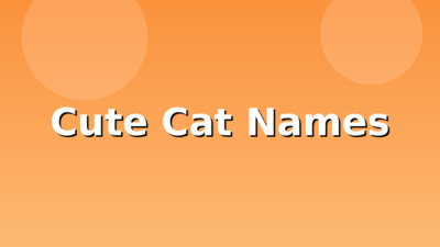 200+ Cute Cat Names (2026)