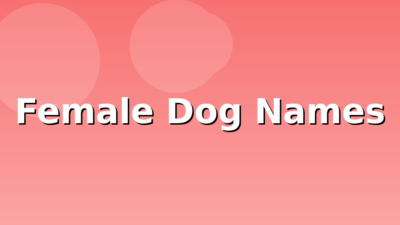 200+ Female Dog Names (2026)